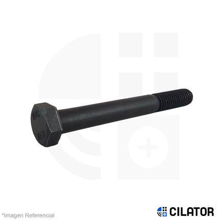 PERNO HEX M22 X 200 RC (2.50) C10.9