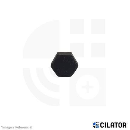 PERNO HEX M10 X 100 RF (1.25) C10.9