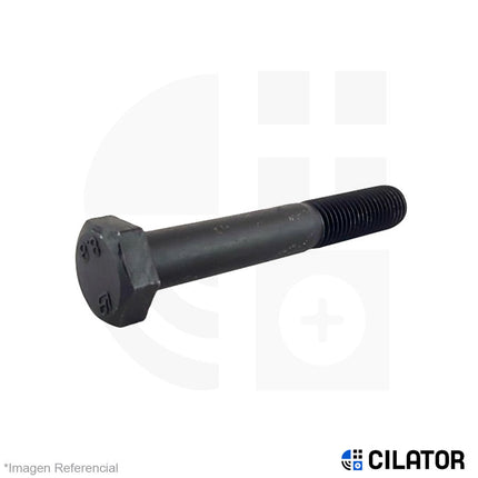 PERNO HEX M18 X 70 RC (2.50) C8.8