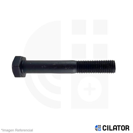 PERNO HEX M6 X 60 RC (1.00) C8.8